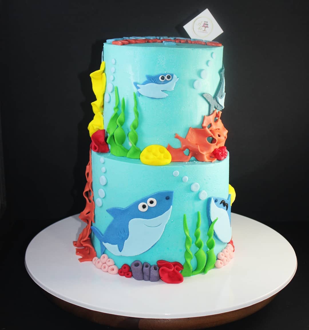 Shark Birthday Cake